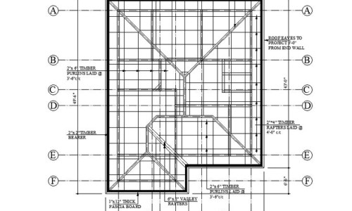 扁黑豆的功效与作用-专业黑扁豆的七大功效平台-黑扁豆的七大功效